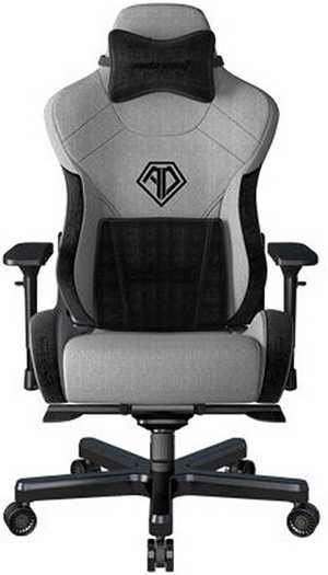  Anda Seat T-Pro II Premium Gaming Chair, 4D Armrests, Memory Foam Neck Pillow & Lumbar Support, Grey/Black | AD12XLLA-01-GB-F