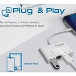 PROMATE 4IN1 HUB MEDIASYNC-LT