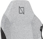 Navodesk Formula Series Apex Air Gaming Chair, Lumbar Support, 4D Armrests, Memory Foam Pillows & Magnetic Headrest, Up to 155Â° Backrest Recline, 135kg Weight Capacity, Light Grey | APEX-AIR-FW-LG