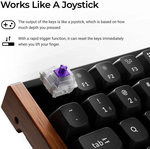 Keychron K2 HE, Wireless Mechanical Keyboard, English-Arabic Keyboard, 2.4 GHz, Bluetooth 5.2, Hot-swap, Type-C, Mac & Windows Keycaps, White | K2H-Q1-AR