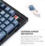 Keychron V6 Max QMK/VIA Wireless Mechanical Keyboard, Gateron Jupiter Red Key Switch, 100% Full-Size, Tri-Mode Connectivity (2.4GHz, BT, Wired), English-Arabic Layout, Black | V6M-D1-AR